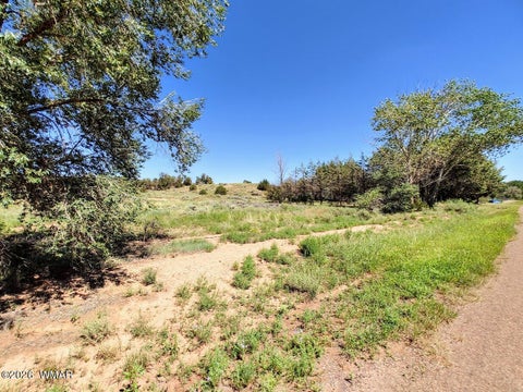 Tiny photo for 5292 W Cottonwood Drive, Taylor, AZ 85939 (MLS # 262975)