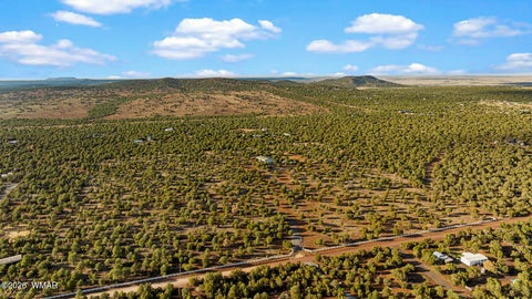 Tiny photo for 61 County Road 3114, Vernon, AZ 85940 (MLS # 261822)