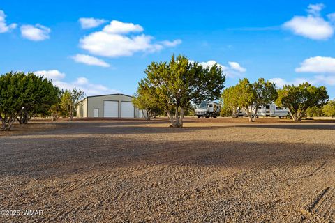Tiny photo for 61 County Road 3114, Vernon, AZ 85940 (MLS # 261822)