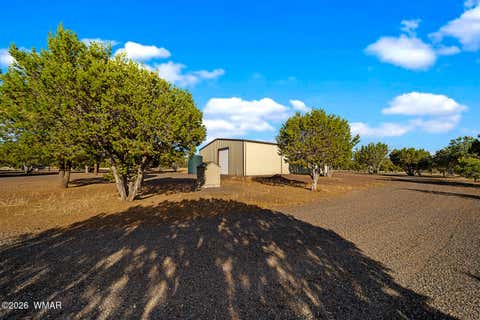 Tiny photo for 61 County Road 3114, Vernon, AZ 85940 (MLS # 261822)