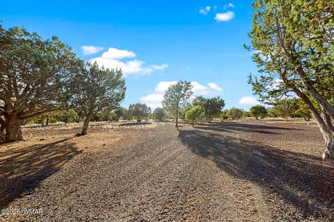Tiny photo for 61 County Road 3114, Vernon, AZ 85940 (MLS # 261822)