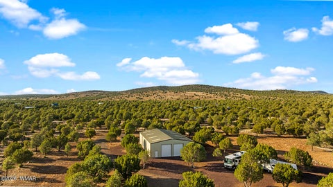 Photo of 61 County Road 3114, Vernon, AZ 85940 (MLS # 261822)