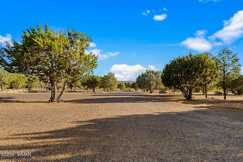 Tiny photo for 61 County Road 3114, Vernon, AZ 85940 (MLS # 261822)