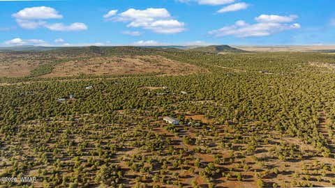 Tiny photo for 61 County Road 3114, Vernon, AZ 85940 (MLS # 261822)