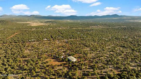 Tiny photo for 61 County Road 3114, Vernon, AZ 85940 (MLS # 261822)