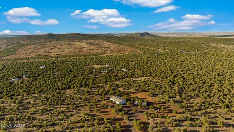 Tiny photo for 61 County Road 3114, Vernon, AZ 85940 (MLS # 261822)