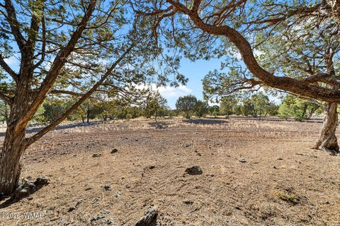 Tiny photo for 61 County Road 3114, Vernon, AZ 85940 (MLS # 261822)