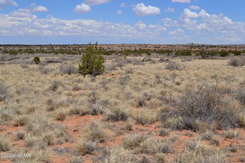 Tiny photo for Lot 020G E 24th N Street, Snowflake, AZ 85937 (MLS # 255617)