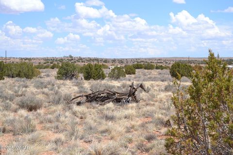 Photo of Lot 020G E 24th N Street, Snowflake, AZ 85937 (MLS # 255617)