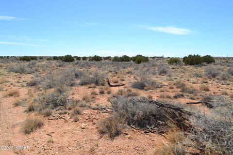Tiny photo for Lot 020G E 24th N Street, Snowflake, AZ 85937 (MLS # 255617)