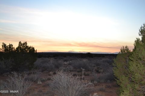 Tiny photo for Lot 020G E 24th N Street, Snowflake, AZ 85937 (MLS # 255617)