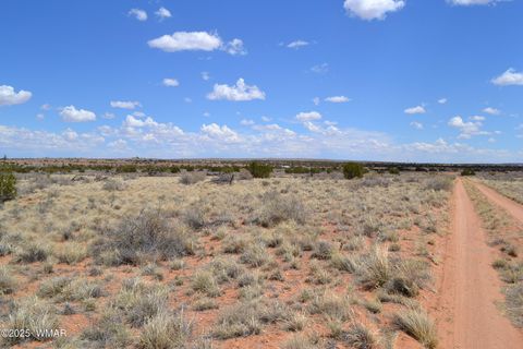 Tiny photo for Lot 020G E 24th N Street, Snowflake, AZ 85937 (MLS # 255617)