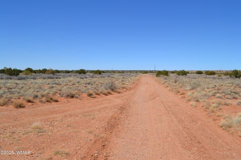 Tiny photo for Lot 020G E 24th N Street, Snowflake, AZ 85937 (MLS # 255617)
