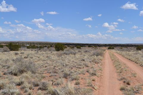 Tiny photo for Lot 020G E 24th N Street, Snowflake, AZ 85937 (MLS # 255617)