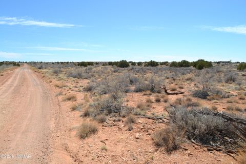 Tiny photo for Lot 020G E 24th N Street, Snowflake, AZ 85937 (MLS # 255617)