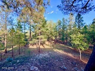 Tiny photo for 5205 Starlight Drive, Happy Jack, AZ 86024 (MLS # 263231)