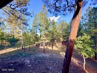 Tiny photo for 5205 Starlight Drive, Happy Jack, AZ 86024 (MLS # 263231)