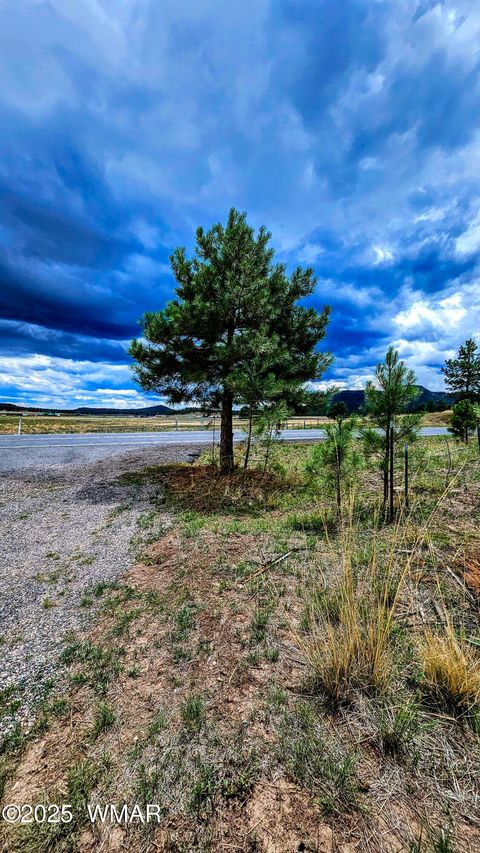 Tiny photo for 8 N ACR 2062, Alpine, AZ 85920 (MLS # 257885)