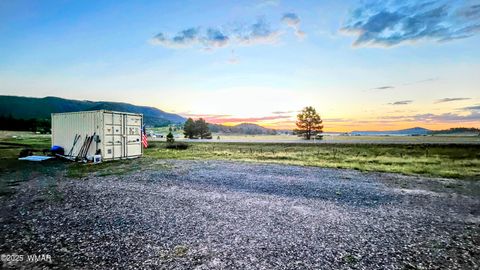 Tiny photo for 8 N ACR 2062, Alpine, AZ 85920 (MLS # 257885)