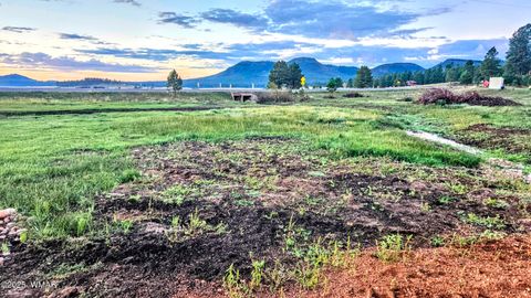 Tiny photo for 8 N ACR 2062, Alpine, AZ 85920 (MLS # 257885)