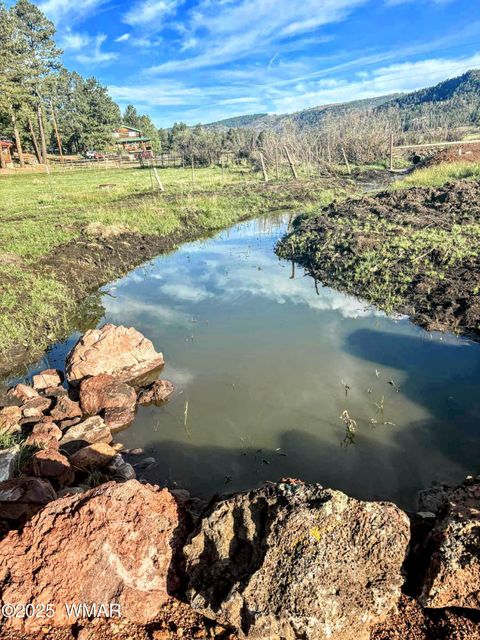 Tiny photo for 8 N ACR 2062, Alpine, AZ 85920 (MLS # 257885)