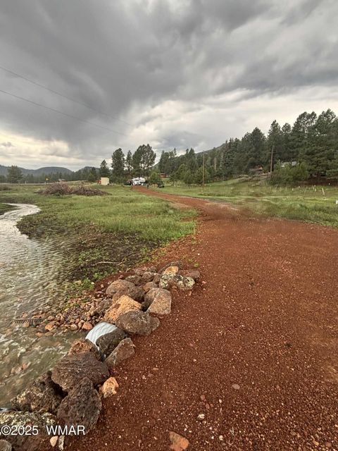 Tiny photo for 8 N ACR 2062, Alpine, AZ 85920 (MLS # 257885)