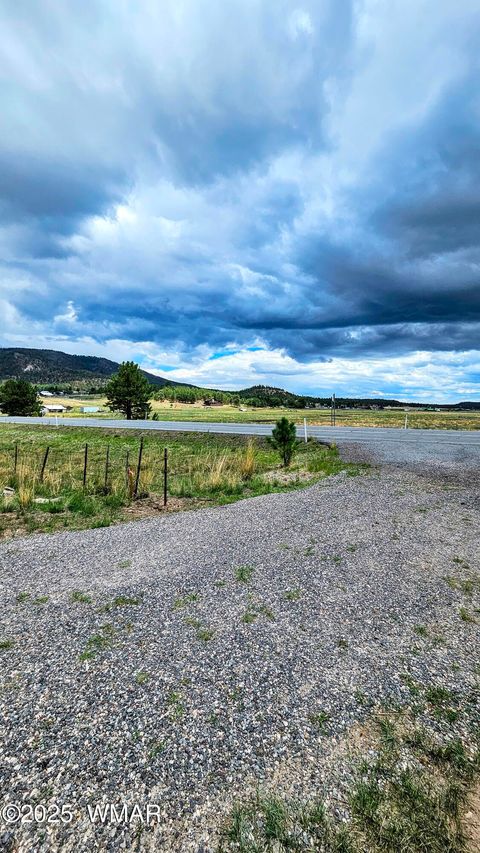 Tiny photo for 8 N ACR 2062, Alpine, AZ 85920 (MLS # 257885)