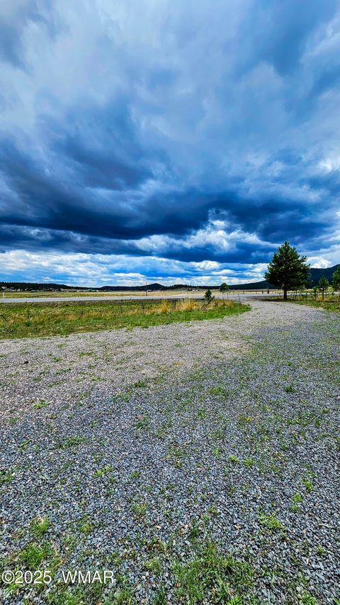 Tiny photo for 8 N ACR 2062, Alpine, AZ 85920 (MLS # 257885)
