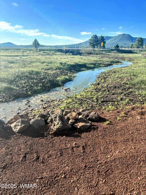 Tiny photo for 8 N ACR 2062, Alpine, AZ 85920 (MLS # 257885)