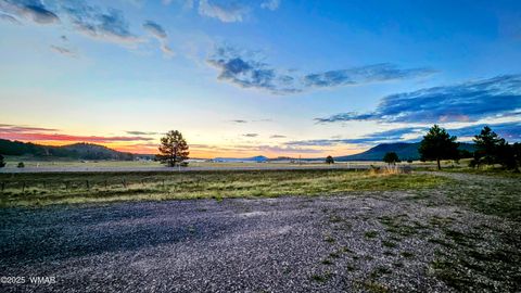 Tiny photo for 8 N ACR 2062, Alpine, AZ 85920 (MLS # 257885)