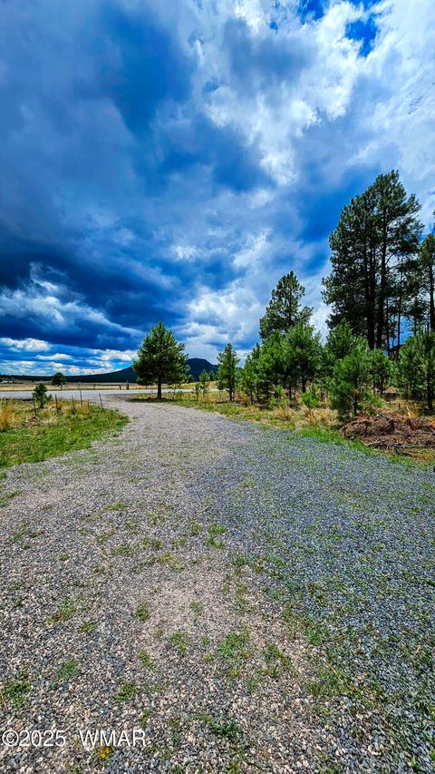 Tiny photo for 8 N ACR 2062, Alpine, AZ 85920 (MLS # 257885)