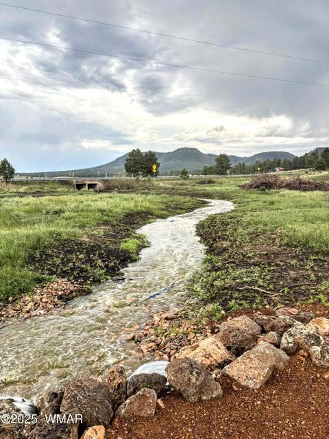 Tiny photo for 8 N ACR 2062, Alpine, AZ 85920 (MLS # 257885)