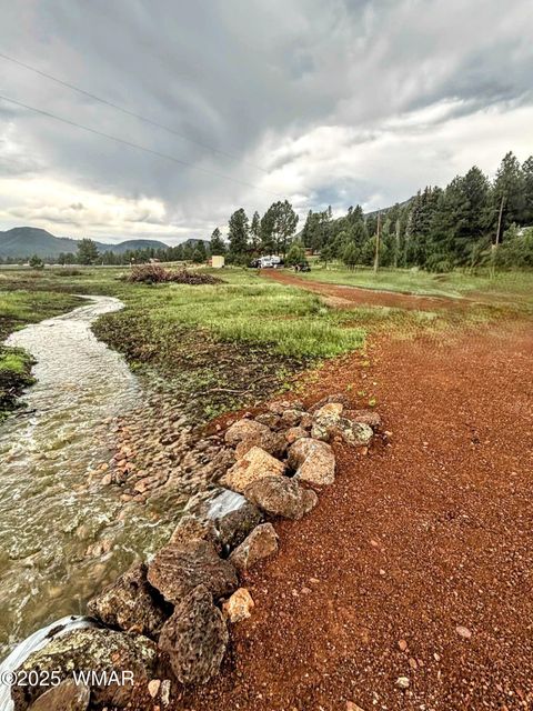 Tiny photo for 8 N ACR 2062, Alpine, AZ 85920 (MLS # 257885)