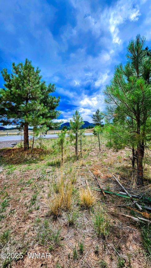 Tiny photo for 8 N ACR 2062, Alpine, AZ 85920 (MLS # 257885)