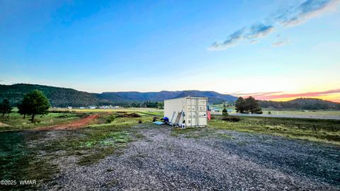 Tiny photo for 8 N ACR 2062, Alpine, AZ 85920 (MLS # 257885)