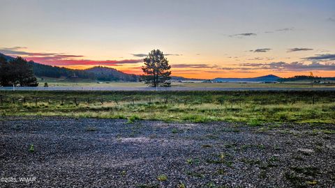 Tiny photo for 8 N ACR 2062, Alpine, AZ 85920 (MLS # 257885)