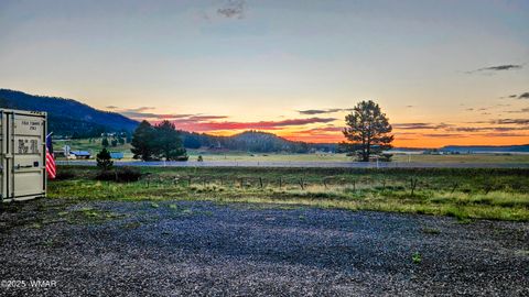 Tiny photo for 8 N ACR 2062, Alpine, AZ 85920 (MLS # 257885)