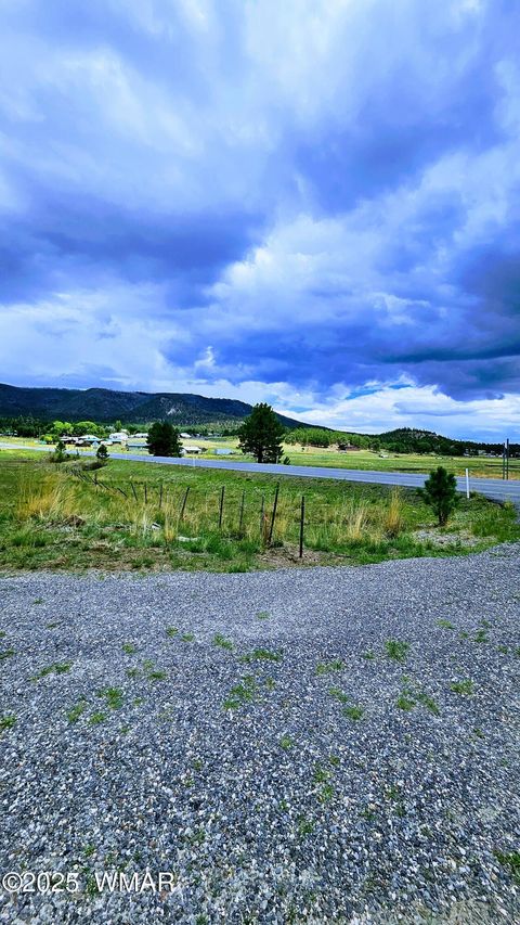 Tiny photo for 8 N ACR 2062, Alpine, AZ 85920 (MLS # 257885)
