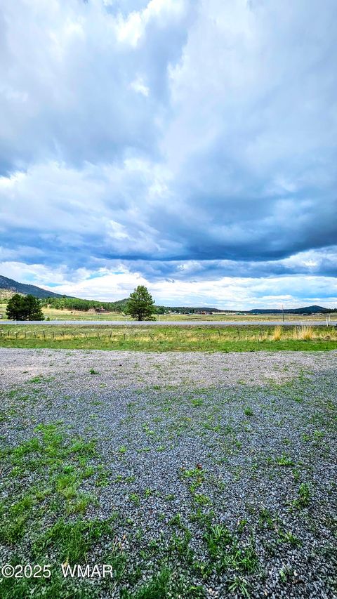 Tiny photo for 8 N ACR 2062, Alpine, AZ 85920 (MLS # 257885)