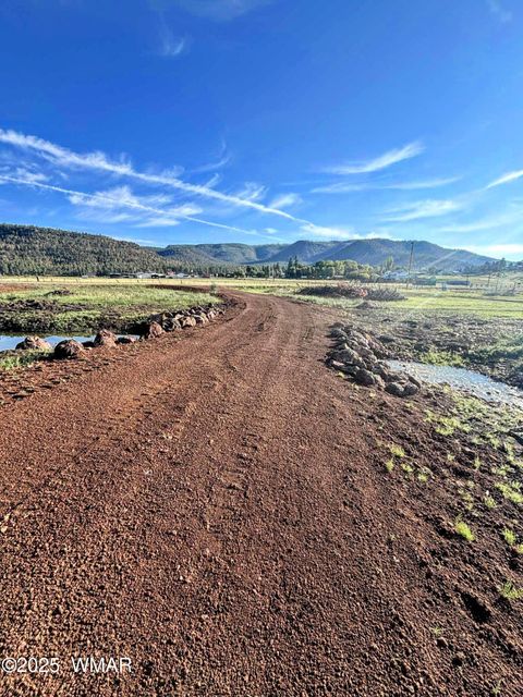Tiny photo for 8 N ACR 2062, Alpine, AZ 85920 (MLS # 257885)