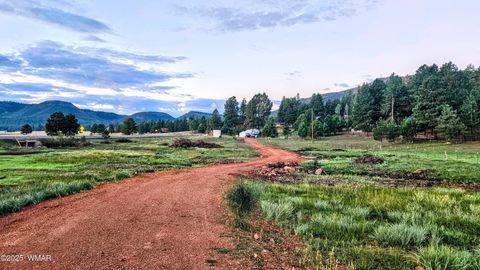 Tiny photo for 8 N ACR 2062, Alpine, AZ 85920 (MLS # 257885)