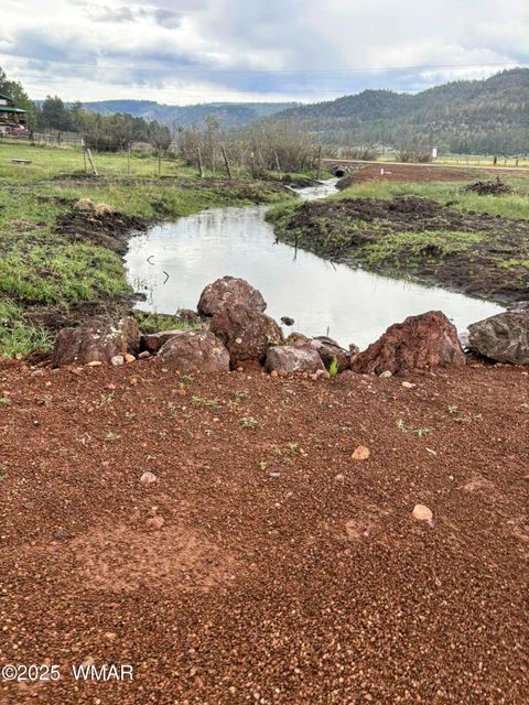 Tiny photo for 8 N ACR 2062, Alpine, AZ 85920 (MLS # 257885)