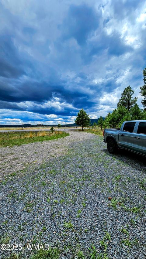 Tiny photo for 8 N ACR 2062, Alpine, AZ 85920 (MLS # 257885)