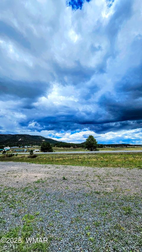 Tiny photo for 8 N ACR 2062, Alpine, AZ 85920 (MLS # 257885)