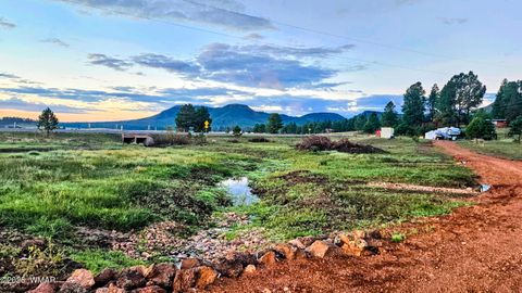 Tiny photo for 8 N ACR 2062, Alpine, AZ 85920 (MLS # 257885)