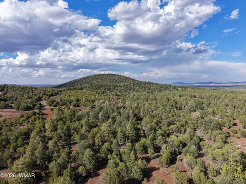 Tiny photo for 4 N 3163, Vernon, AZ 85940 (MLS # 261961)