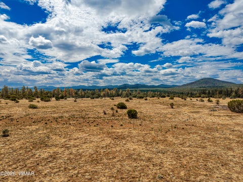 Tiny photo for 4 N 3163, Vernon, AZ 85940 (MLS # 261961)