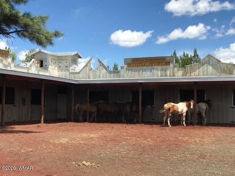 Tiny photo for 4 N 3163, Vernon, AZ 85940 (MLS # 261961)