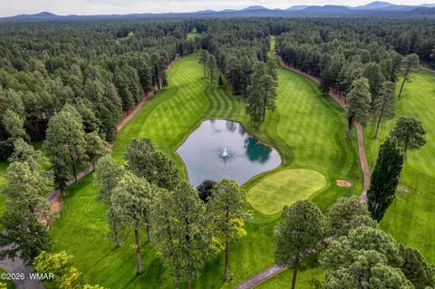 Tiny photo for 8224 White Oak Road, Pinetop, AZ 85935 (MLS # 259969)