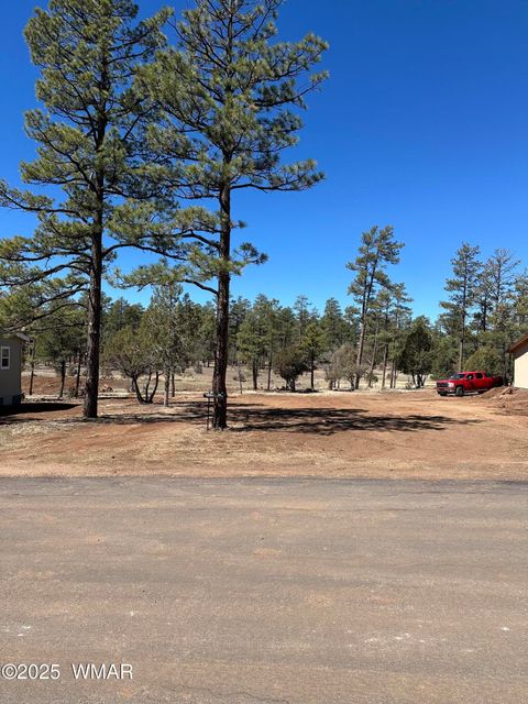Photo of 5452 Red Squirrel Lane, Lakeside, AZ 85929 (MLS # 255001)